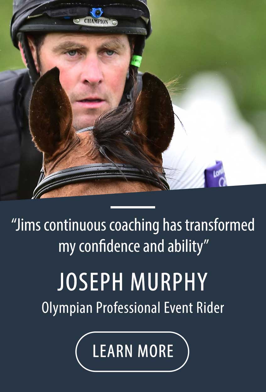 online show jumping course