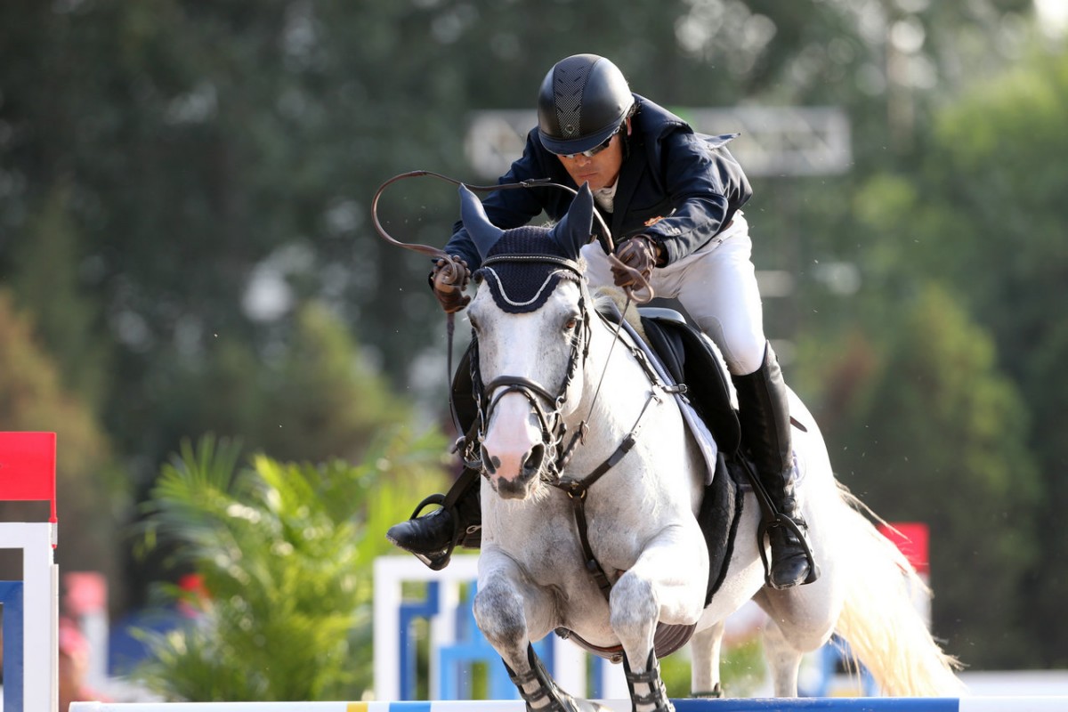 show jumping online course